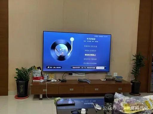 十名：电视选购不迷茫TOP10推荐EVO真人平台电视机品牌排行榜前(图10)